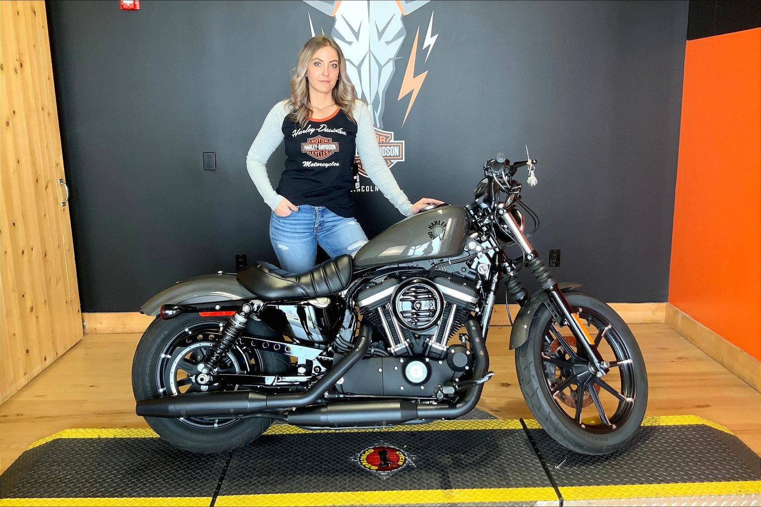 Harley 2019 online models